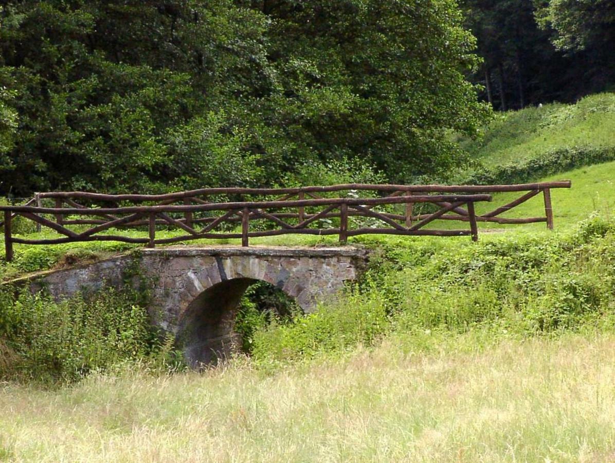 Wildbach Appartement Ober-Hambach Esterno foto