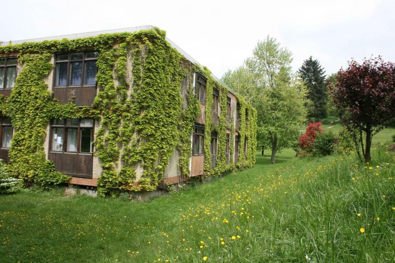 Wildbach Appartement Ober-Hambach Esterno foto
